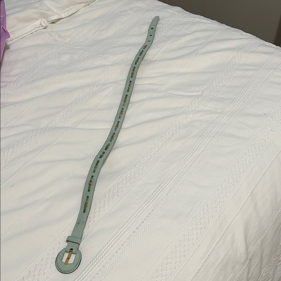 Vintage Salvatore Ferragamo Mint Green Belt with Gold Accents Suede Leather - Picture 5 of 7